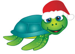Christmas turtle.jpe