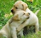 Sending hugs